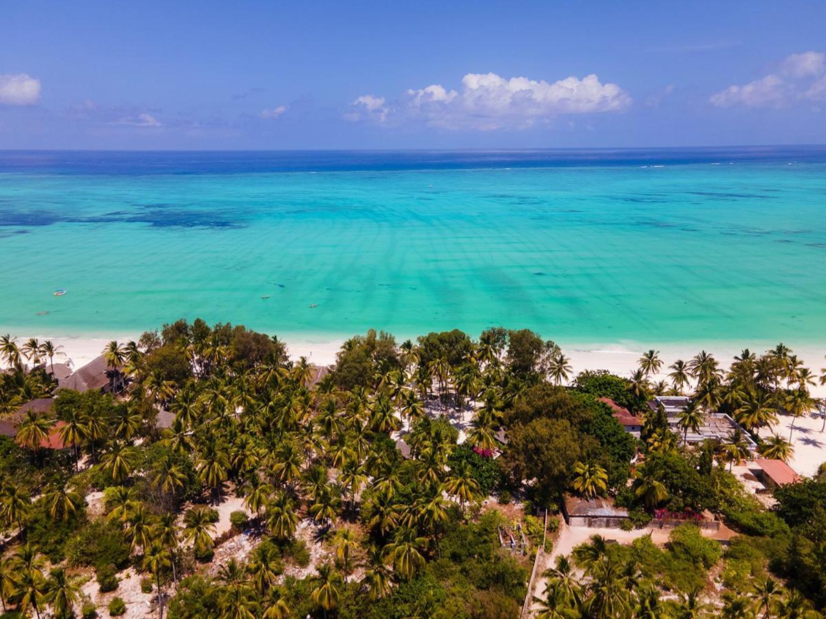 Heart Of Zanzibar Bungalows Paje Eksteriør bilde